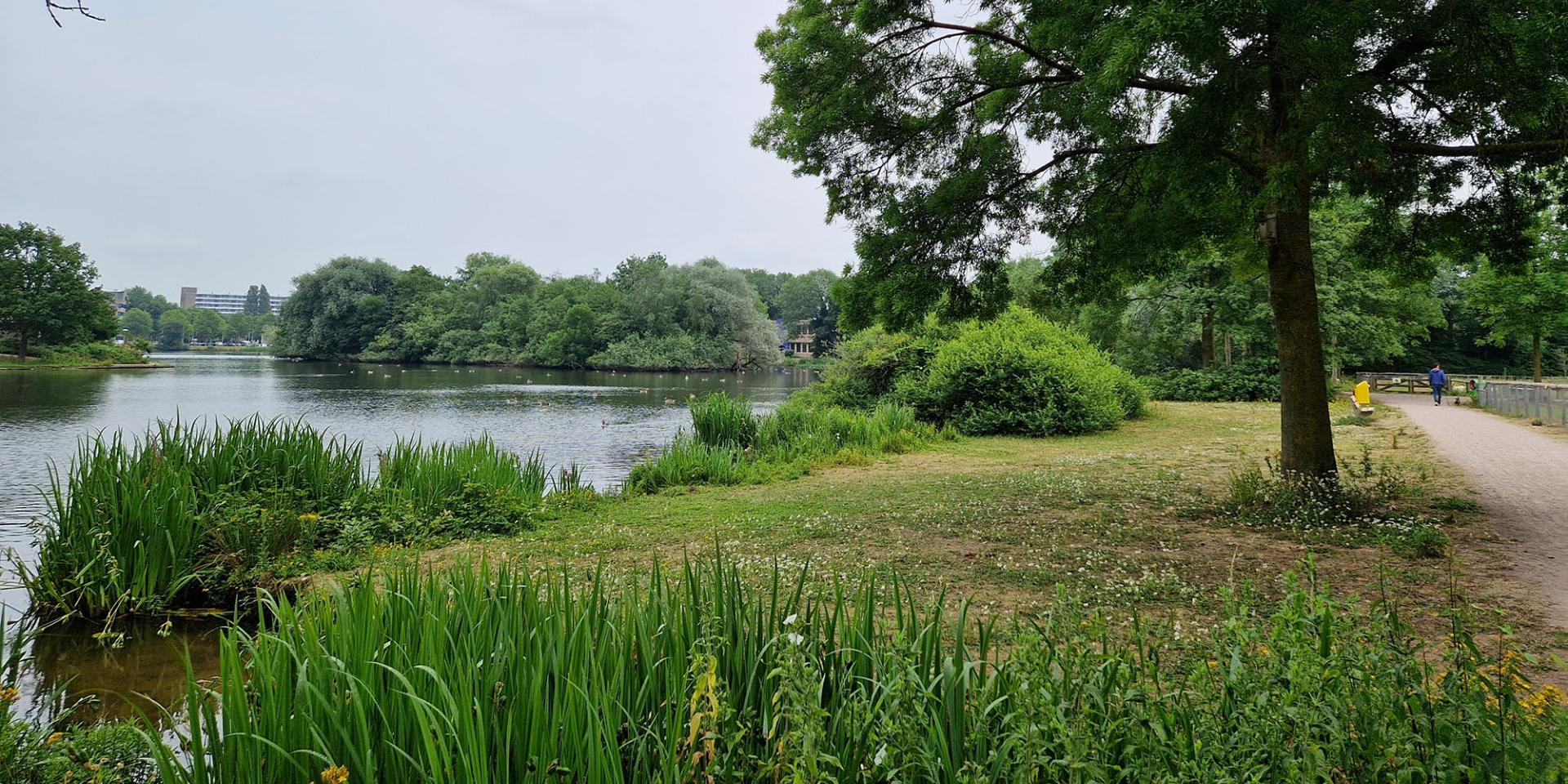Parken In Lübeck Geheimtipps Parken Stadsdeel Noord | Parken